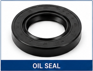 Oil Seal